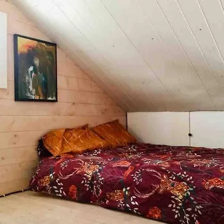 Chalet La Foret Du Dragon - Tiny House De Marjo Murols